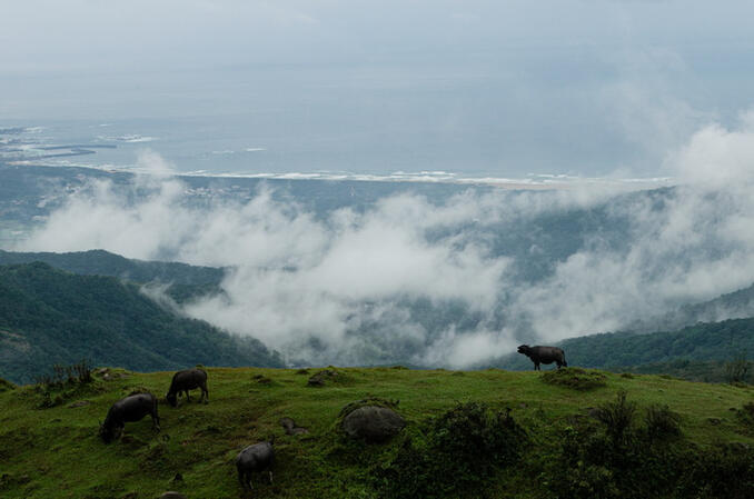 Whispers of the Mountain God (For Sale)