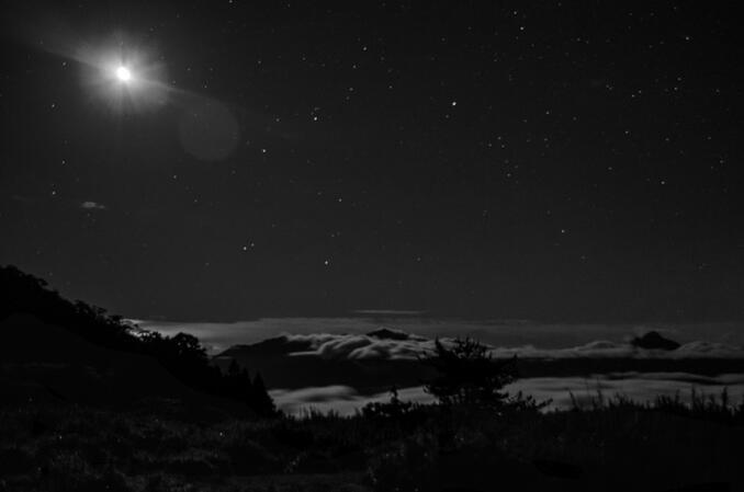 Stillness at 3AM (For Sale)